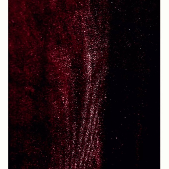 Anthropologie Jenny Yoo Logan Velvet Dress - Picture 5 of 7